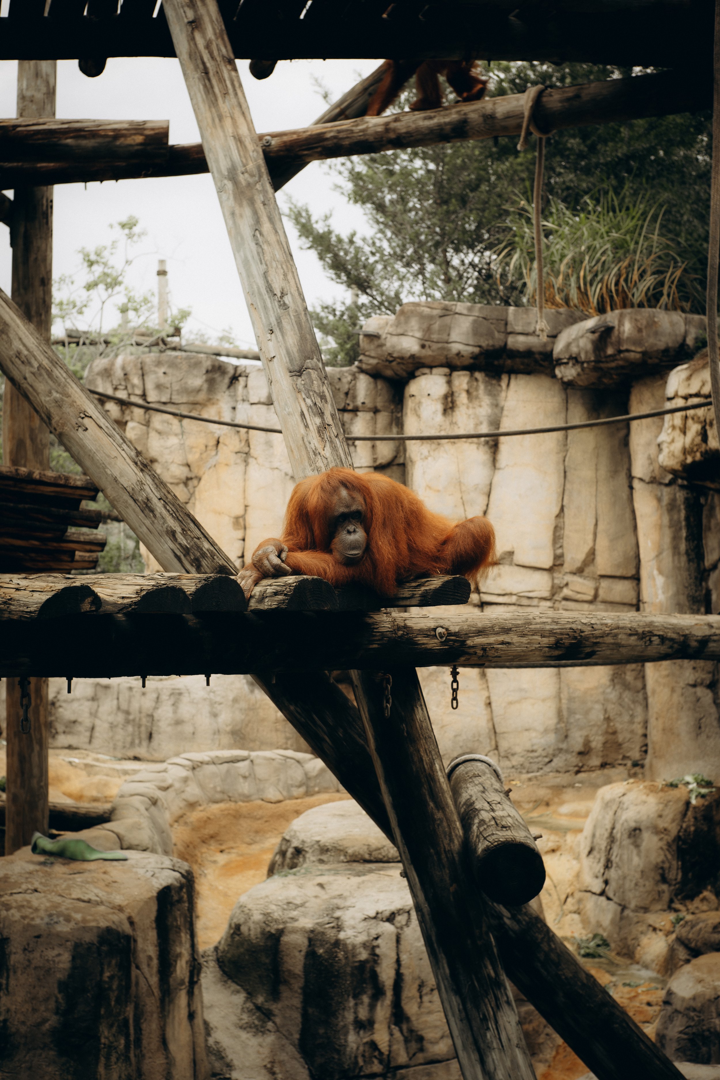 DSCF5098.jpg
