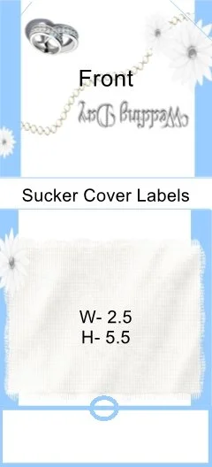 Wedding Day Blue Sucker Cover.jpg