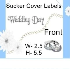 Wedding Day Blue Sucker Cover 1.jpg