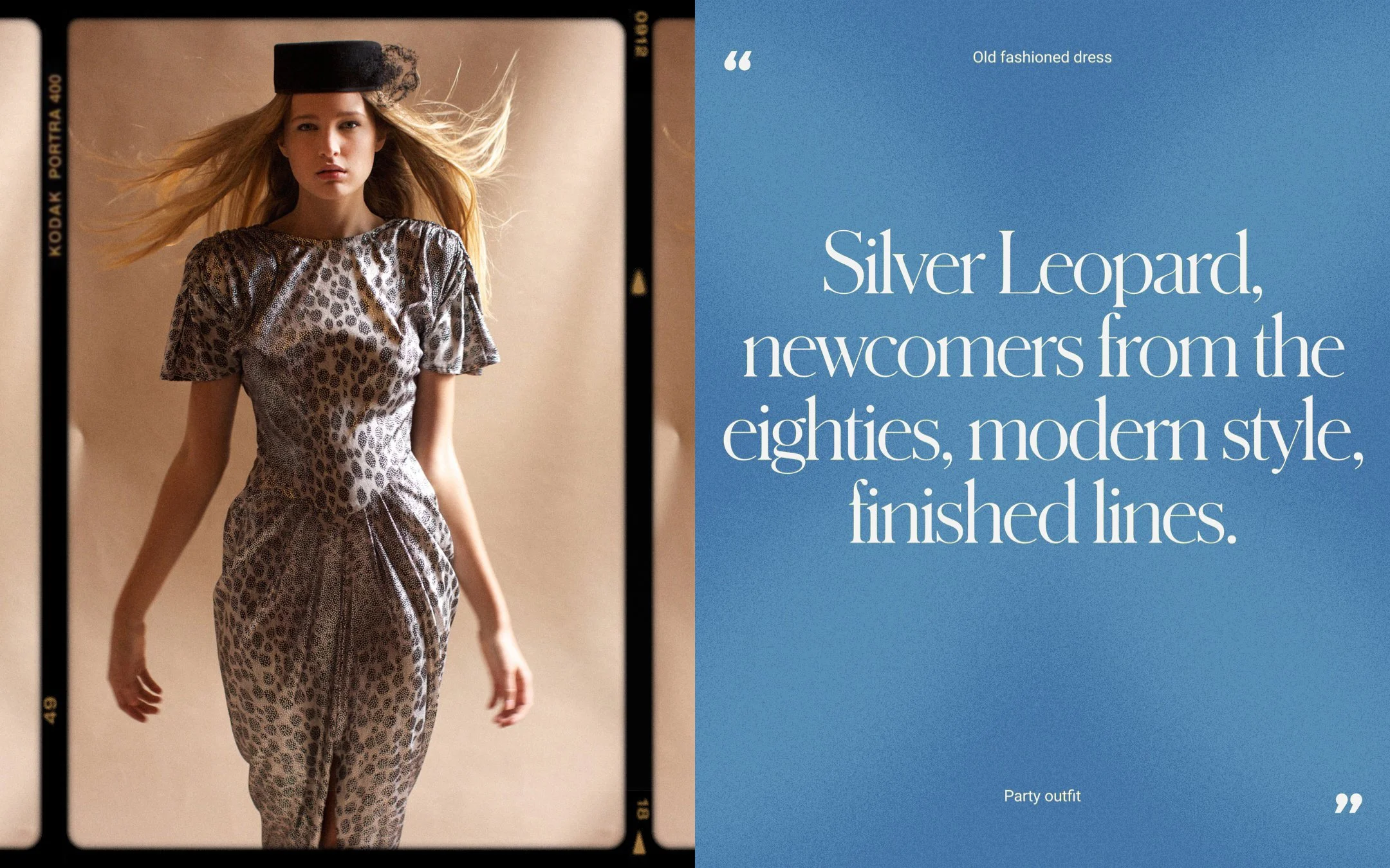 Silver Leopard - Vintage Editorial
