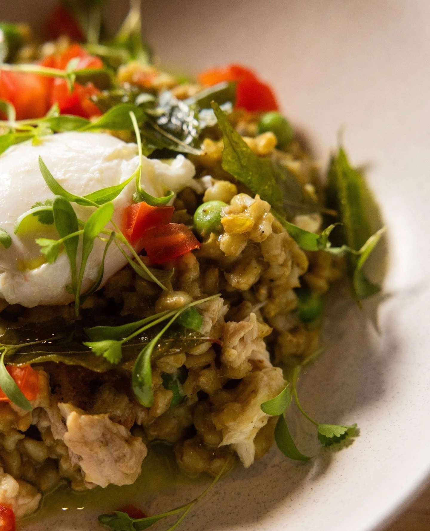 Up close and personal with our barramundi curried barley.⁠
⁠
A native take on a classic Kedgeree. Built around our staple curry paste packed with anise myrtle, fingerlime zest and pepperberry.⁠
⁠
Come work your way through the new winter menu!