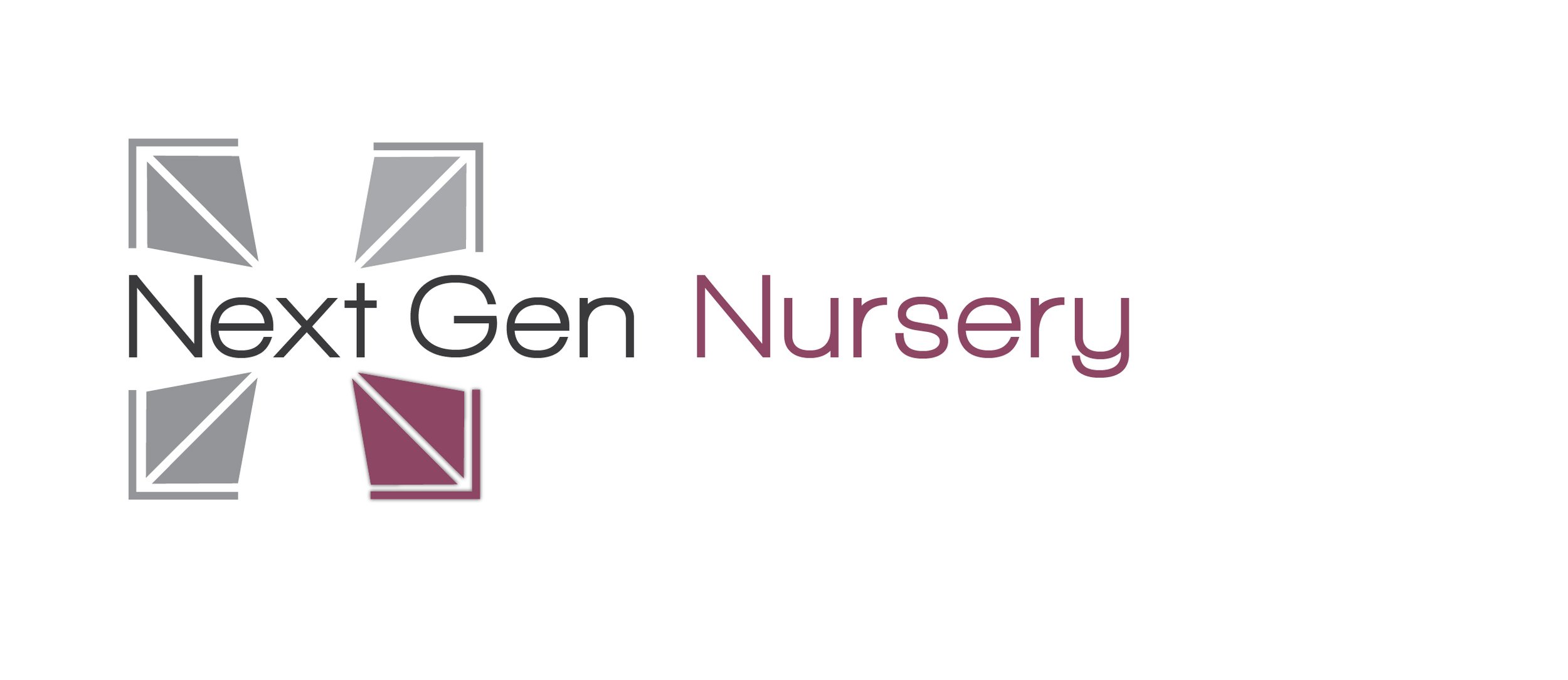 Next Gen Ministry logo final-02.jpg