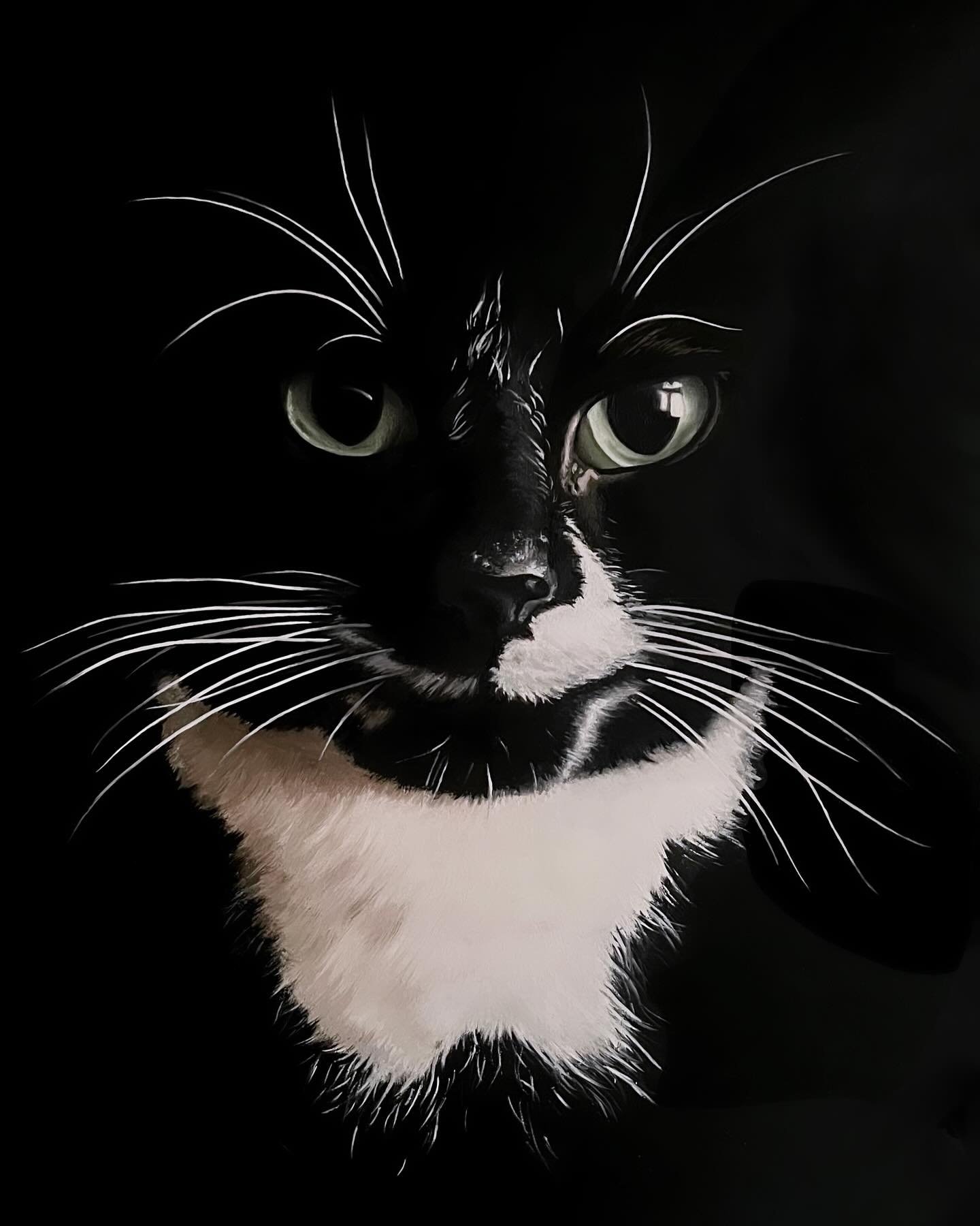 A portrait of Louie ❤️ can&rsquo;t wait to send him home!

Thanks for the opportunity @battlesloth3 it was a delight to paint him. I pray his portrait brings his parents some peace, I know he&rsquo;s greatly missed

#petportait #petportraits #petpain