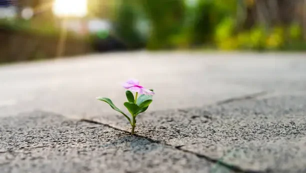 When Relationships Become More About Survival Than Connection