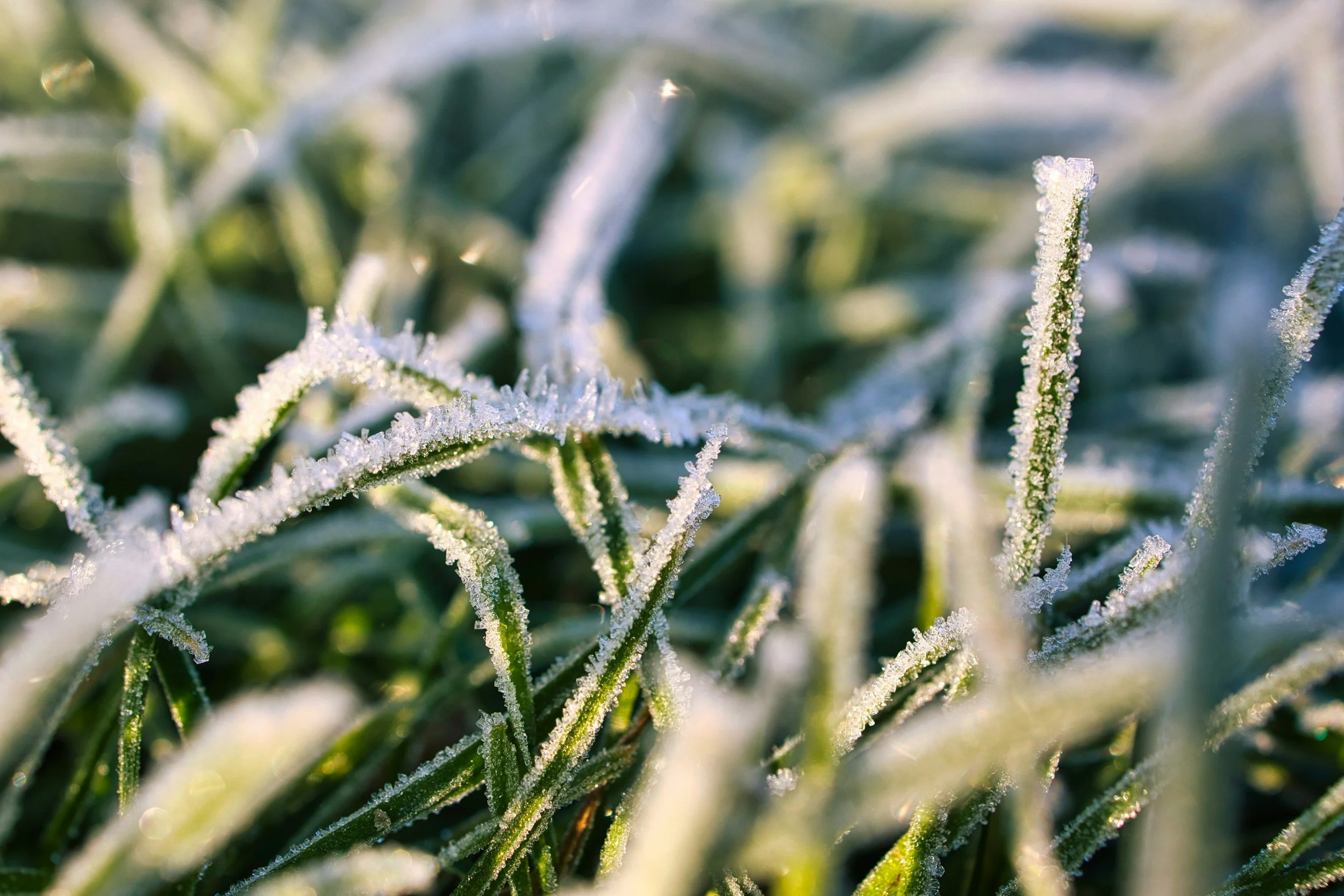 Winterise your ICE engines