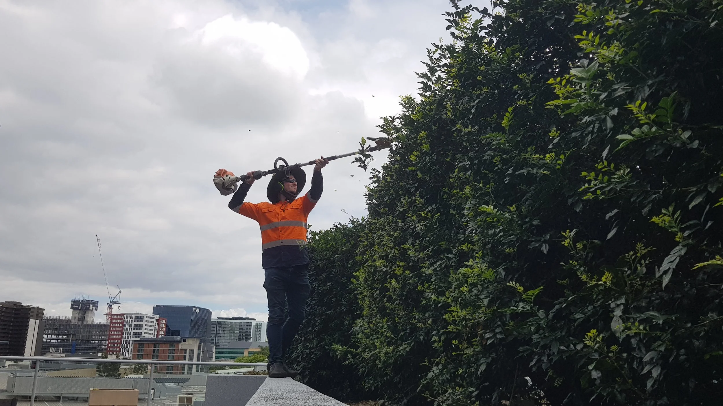 REIT property maintenance Adam tall hedging in bowen hills Brisbane Queensland commercial precinct