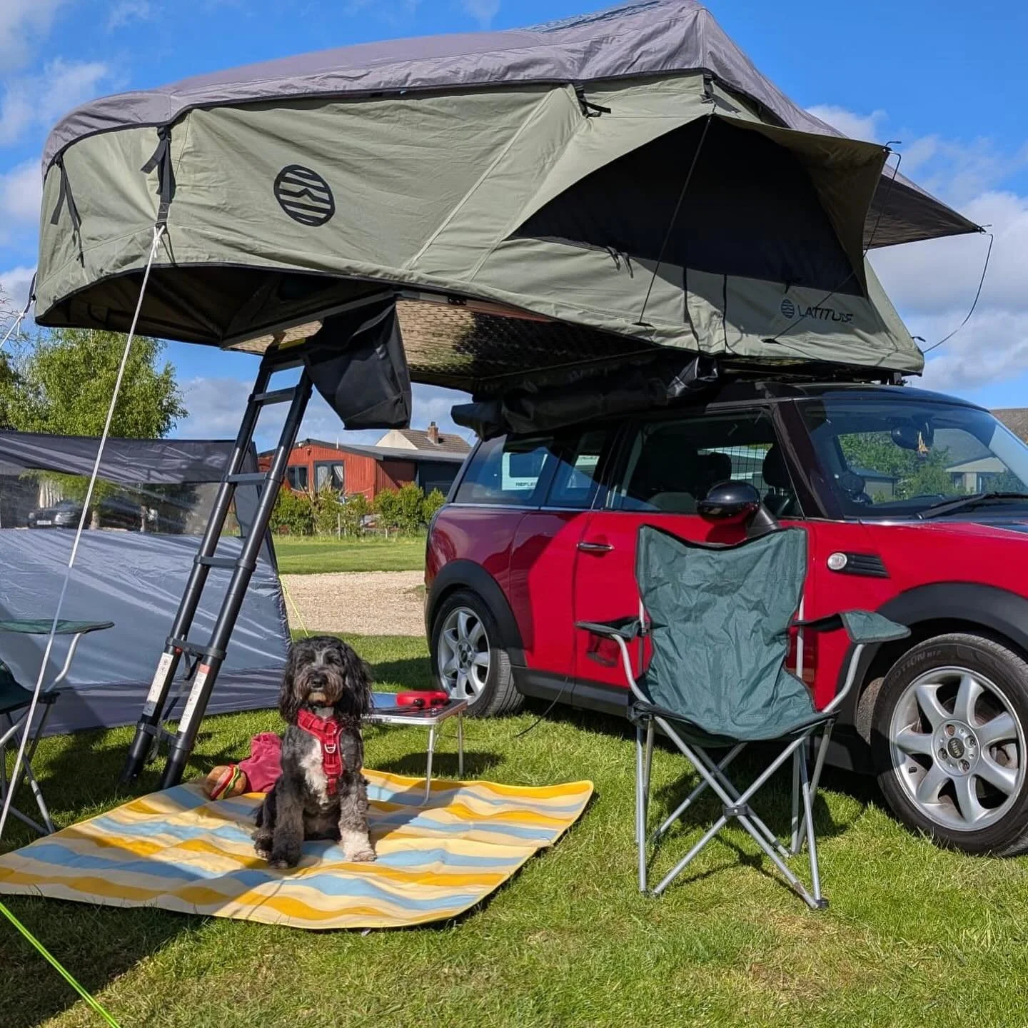Fills me with joy seeing all my guest getting out there and enjoying out beautiful outdoors! 🍃

Mini clubman is possible my favourite looking car with a roof tent, anyone else see 🐞??

#rooftent #rooftentrental #rooftenthire #campinghire #camping #