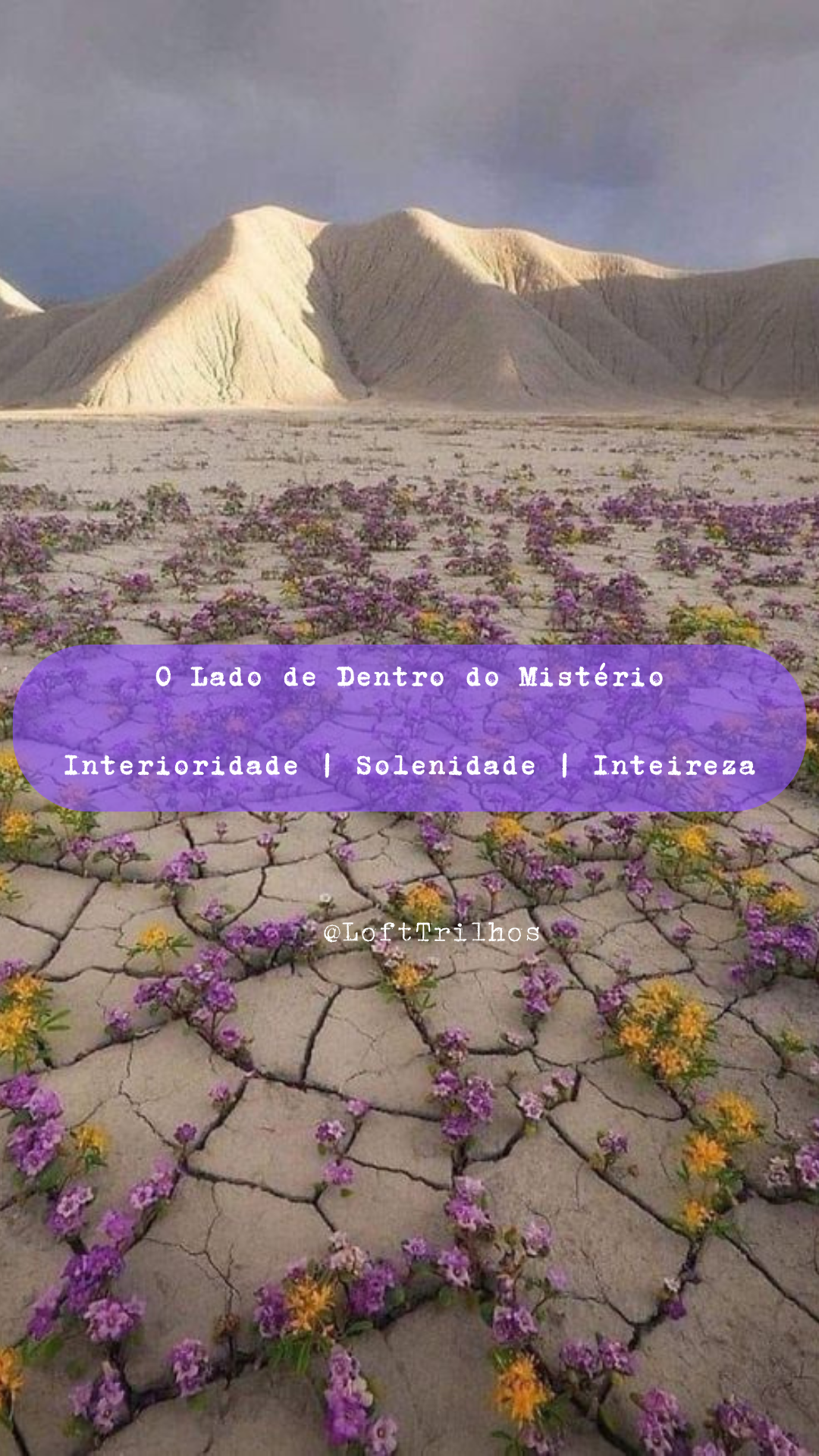 O Lado de Dentro do Mistério