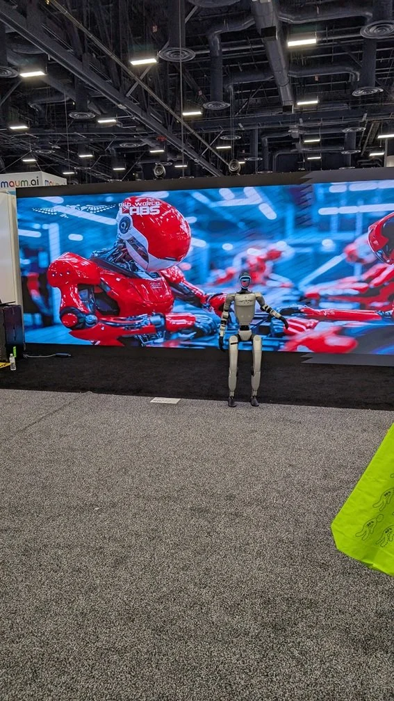 (Many) Humanoid Robotics