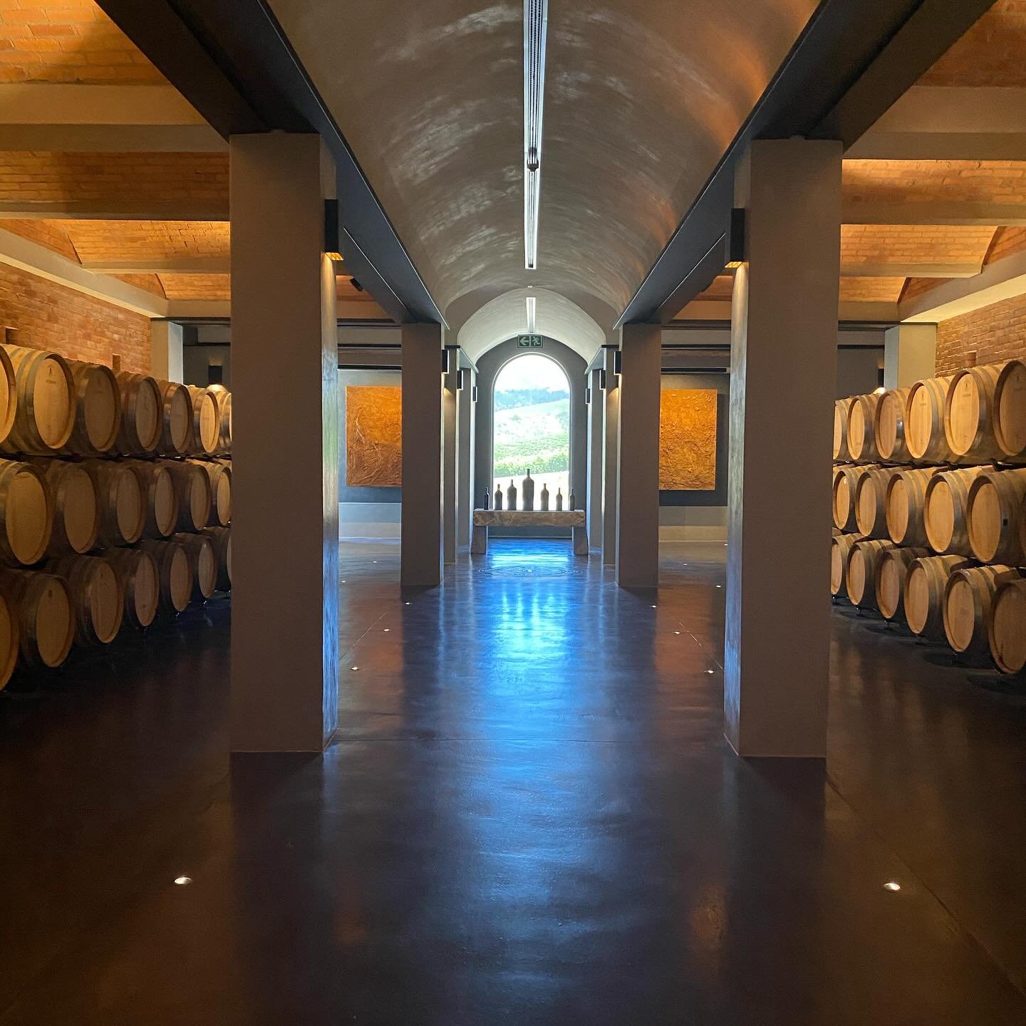 South Africa 🇿🇦 Wine Tasting 🍷 
Loved to visit @ernieelswines close to Stellenbosch area. The Winery is located on top of rolling hill and opens up on a stunning view. I felt in love with the Cab Sauvignon and its easy drinking style. A wine made 