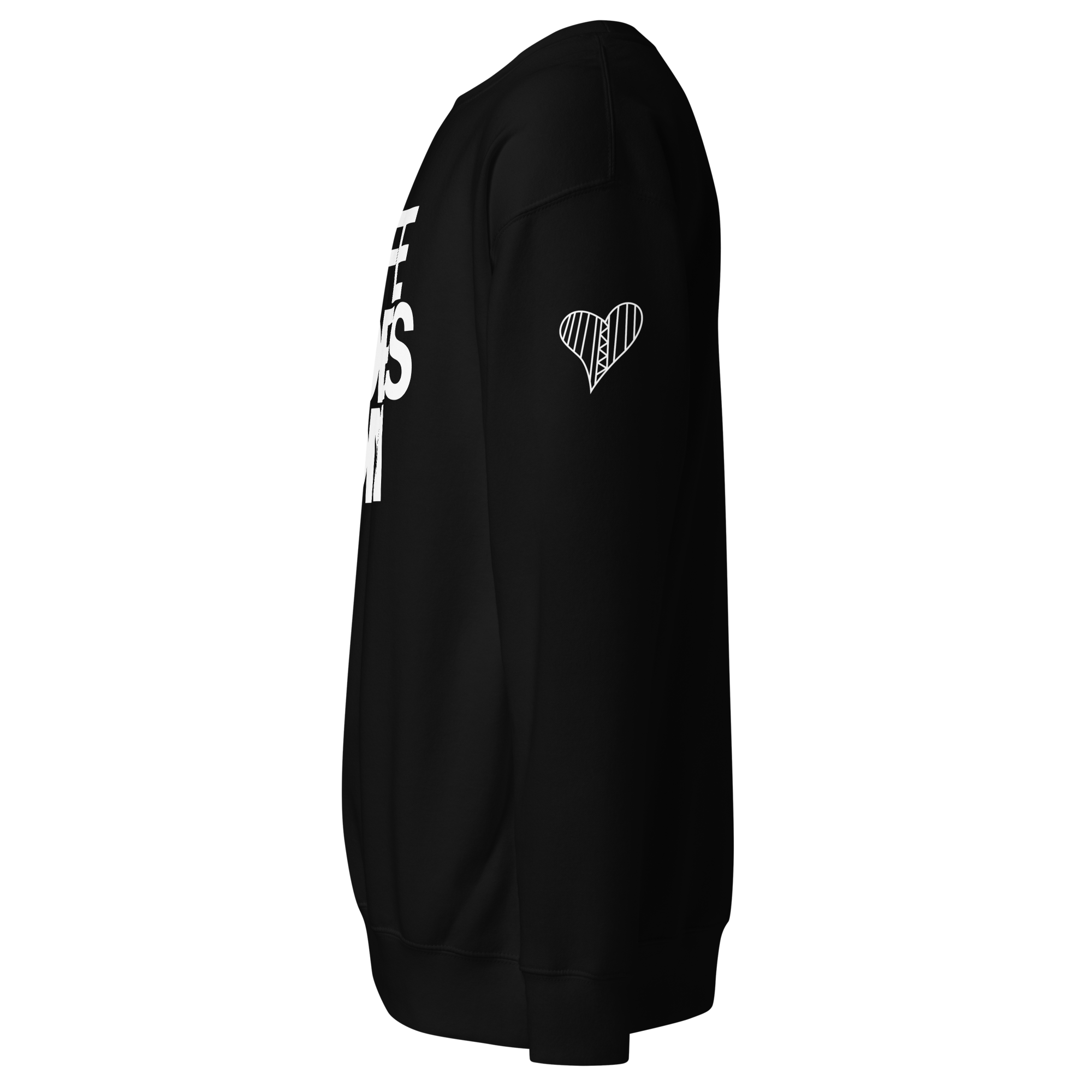 unisex-premium-sweatshirt-black-left-6928d3f4c6ec6.png