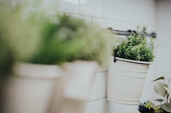 Indoor-herb-garden.jpg