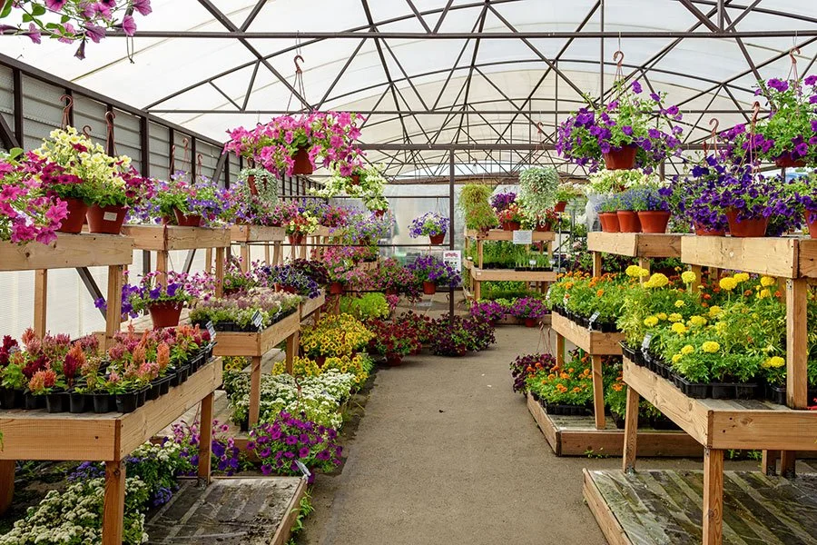 The Best Plant Nurseries and Plant Shops in Sydney with Cafes Nearby
