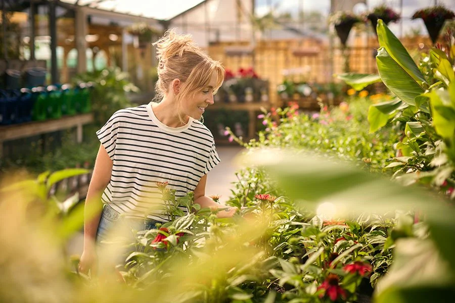 The Best Plant Nurseries in Melbourne: A Must-Visit Guide for Plant Lovers