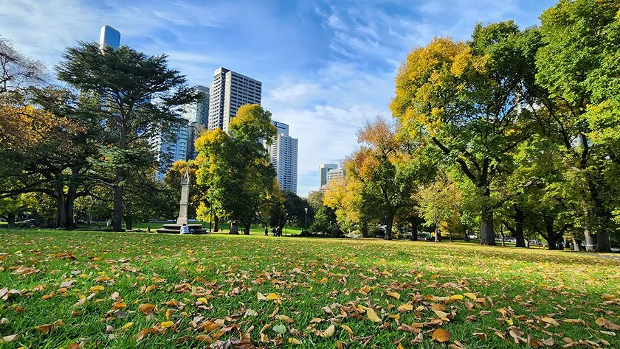 Going Analog Guide: Ditching the Phone for Fun Things to Do in Melbourne 2026