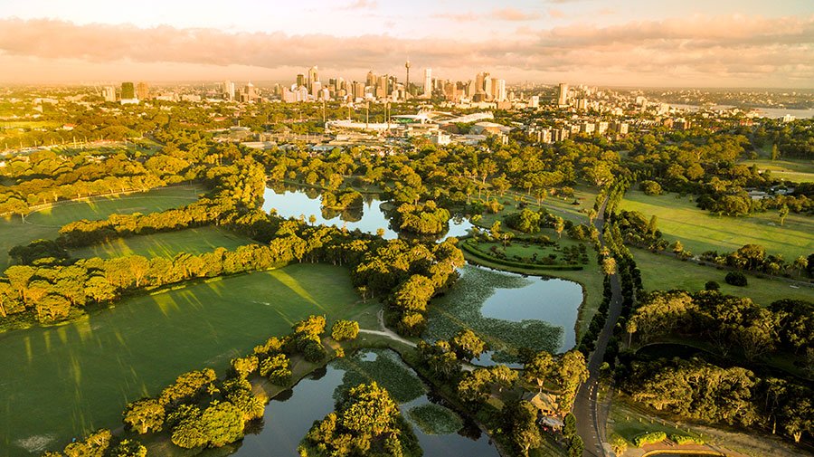 Sick of the Digital World? Find the Best Analog Things to Do This Summer in Sydney