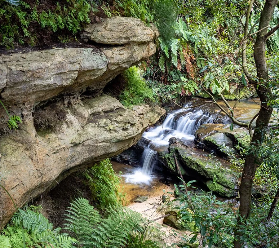 Best swimming holes and waterfalls near Sydney for a wild, natural escape