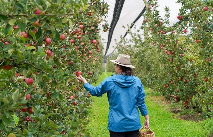 The Best Autumn Events Near Melbourne in 2026