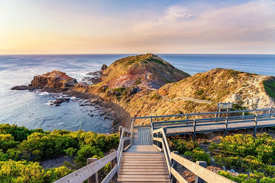 Wooden boardwalk leading to rugged cliffs and ocean views on a coastal walk along Melbourne’s Mornington Peninsula