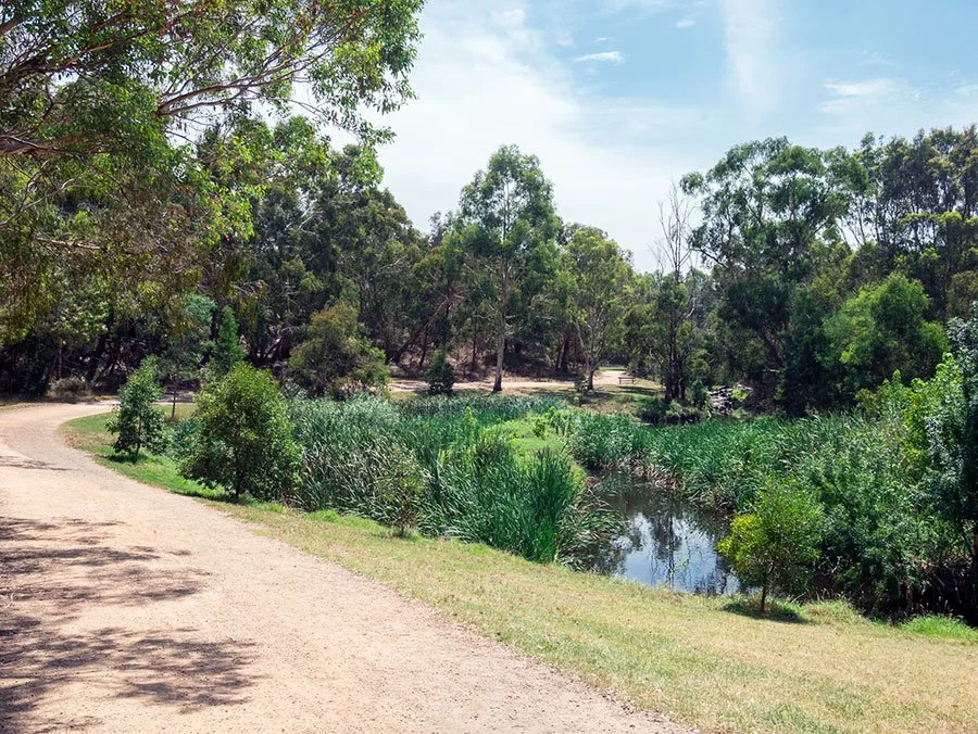 Cyclist trail running alongside Gardiners Creek in suburban Melbourne parkland with trees and water creating a peaceful ride