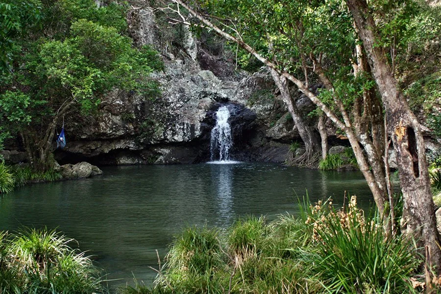 Rainforest waterfall cascading into a freshwater swimming hole on a Queensland day trip from Brisbane