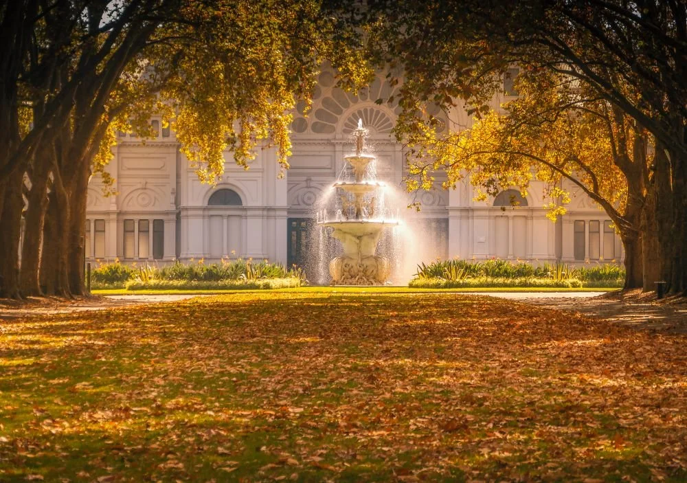 The Best Places To See Autumn Leaves in Melbourne & Victoria GoGet Carshare