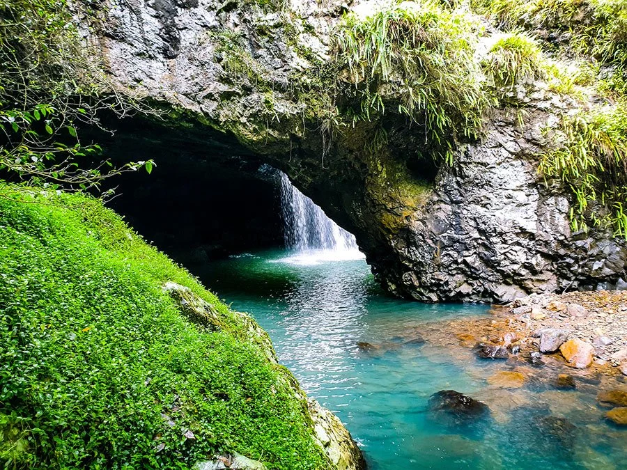 Waterfall flowing through natural rock arch cave into turquoise pool surrounded by lush green rainforest moss and ferns