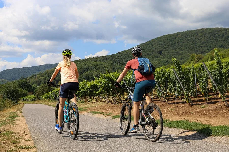 Young couple riding bicycles through vineyard rows on sunny day wine country tour