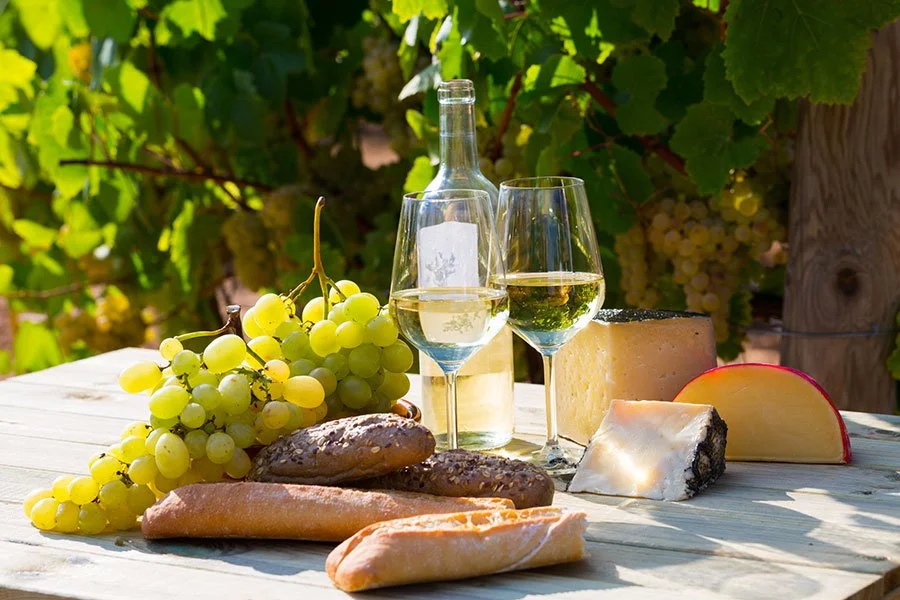 Wine glasses and cheese board with grapes on outdoor table overlooking vineyard rows