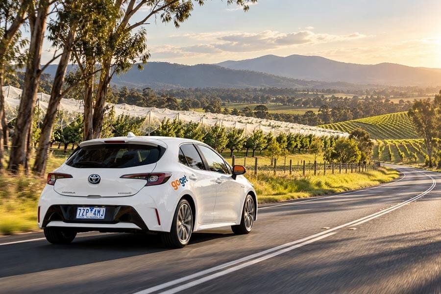 A white GoGet Toyota Corolla hatchback with an orange wing mirror driving away along a sealed country road, with netted orchard rows to one side, vine rows on a slope and blue ranges at sunset.