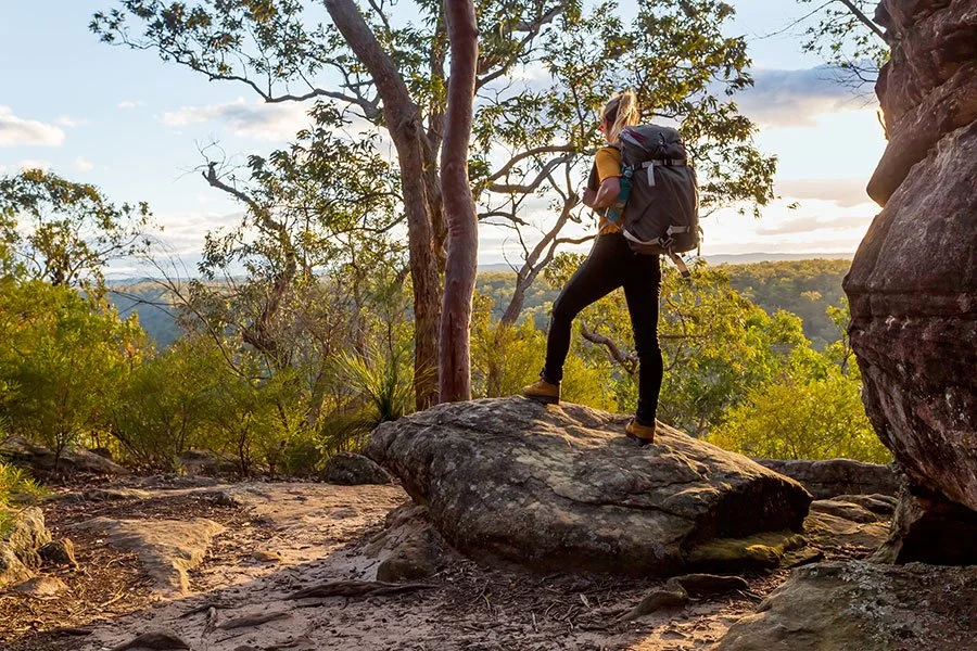Woman hiking along a bushwalking trail in Brisbane’s native forest, enjoying a spring nature walk close to the city.