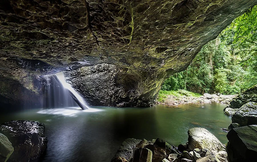 Rainforest cave with soft sunlight filtering through, capturing the lush scenery and natural beauty of Queensland hiking trails.
