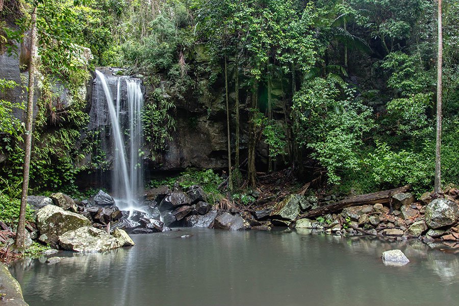 Curtis Falls in Mount Tamborine – a tranquil rainforest escape in Queensland’s Gold Coast Hinterland, perfect for cosy winter getaways
