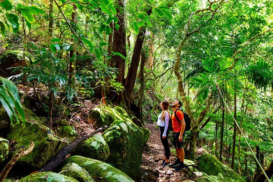 Couple walking through Lamington National Park’s rainforest trails – a lush winter hiking escape in Queensland’s Scenic Rim