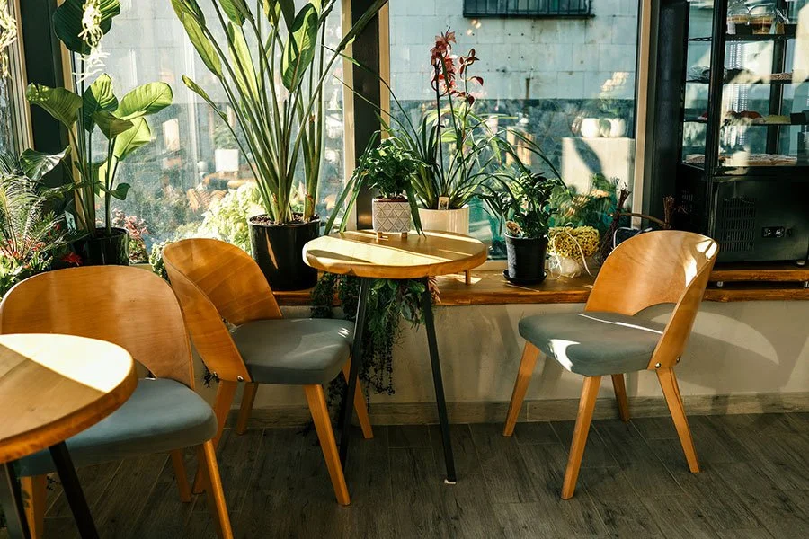 A sunlit café corner with indoor plants and wooden tables, reflecting the leafy, nature-inspired atmosphere of Brisbane garden centres.
