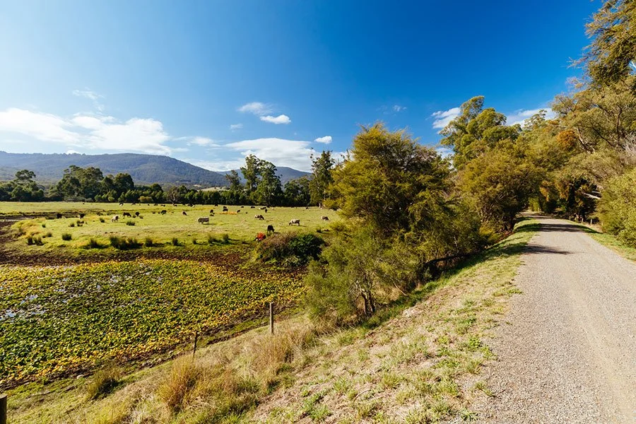 Paved cycling and walking trail winding through green countryside with trees and farmland