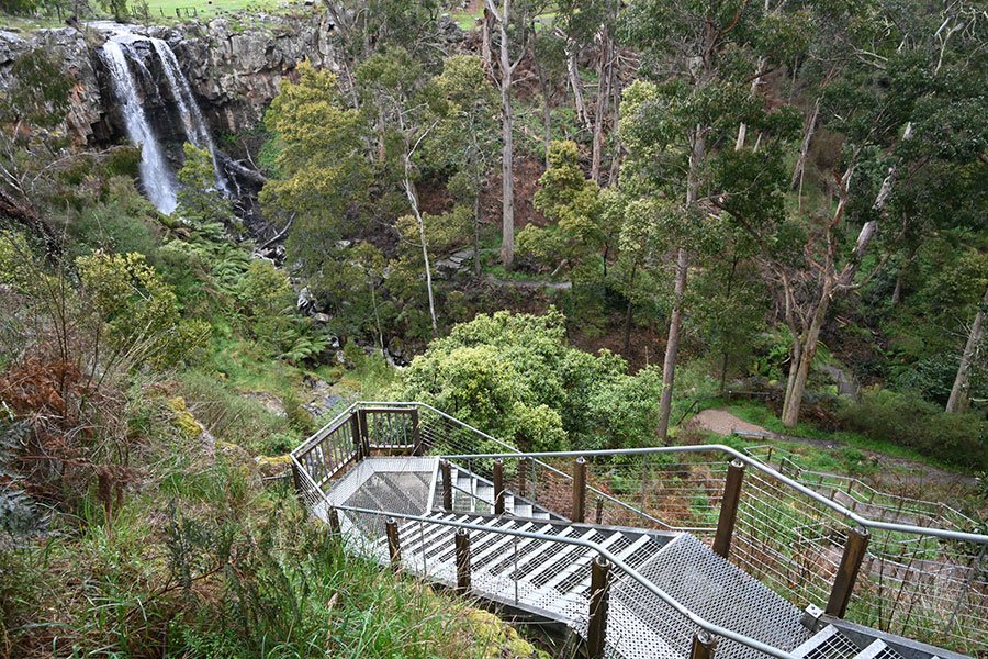 Metal viewing stairs descending into a lush Victorian bush gorge with a tall waterfall visible through eucalyptus trees