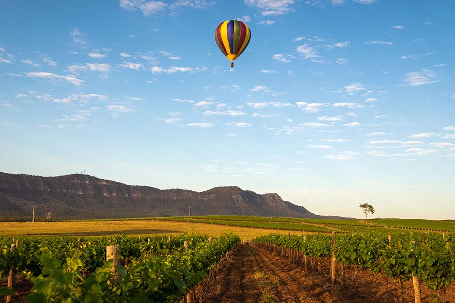 Aerial view from hot air balloon basket looking down over patchwork vineyard landscape at sunrise