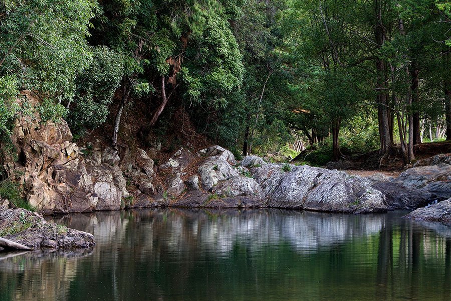 Shimmering green freshwater rock pools surrounded by natural Queensland landscape