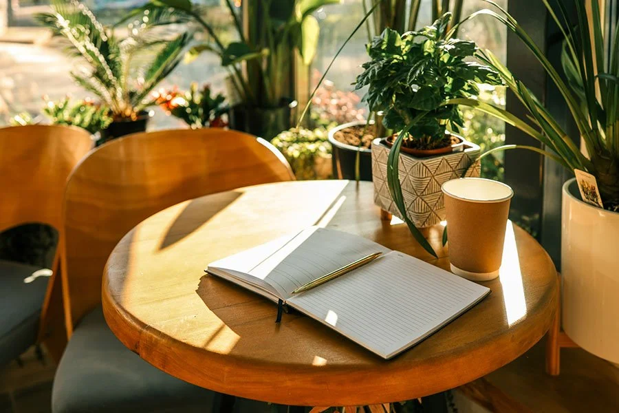 Takeaway coffee and open notebook on a sunlit café table — a quiet moment after exploring Melbourne’s plant nurseries.