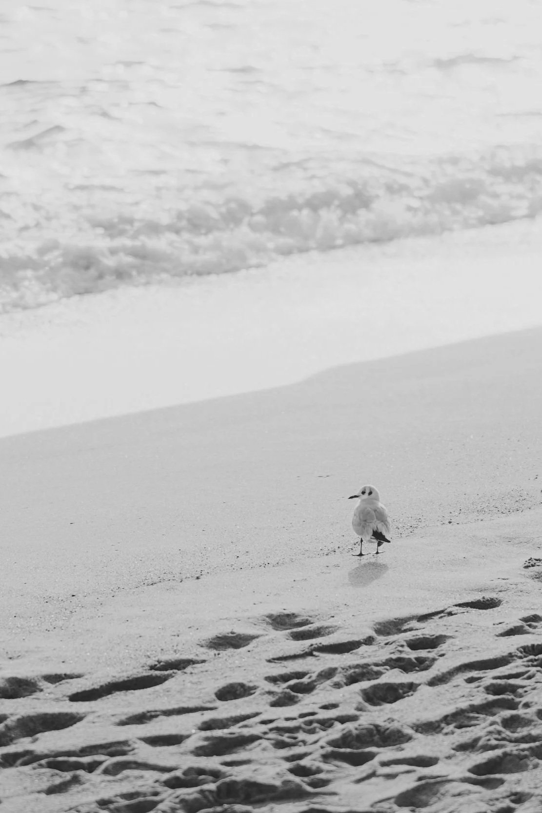 Sélection 2024/2025