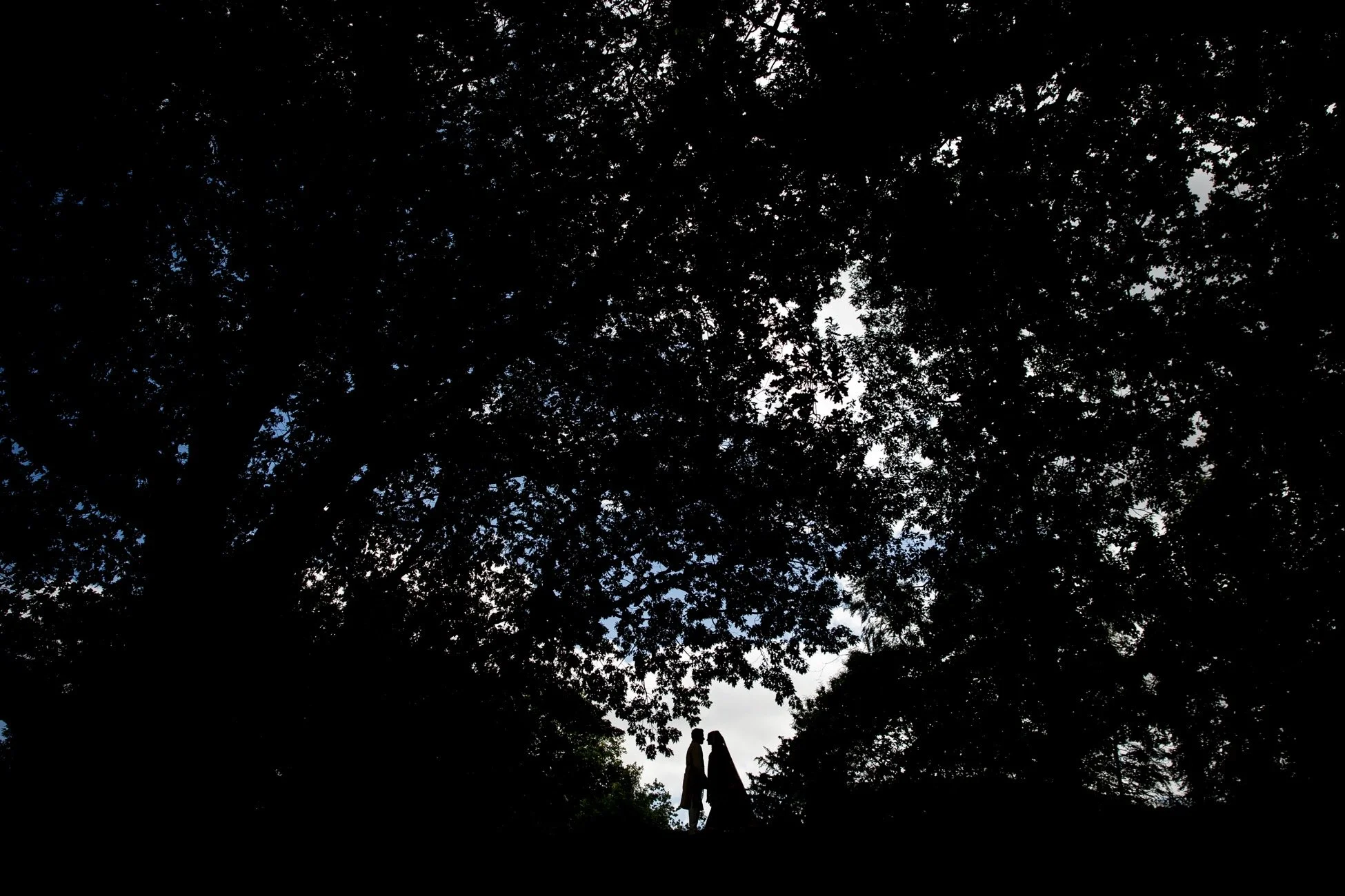 Silhouette of a couple facing each other under a large tree with a view of the sky.