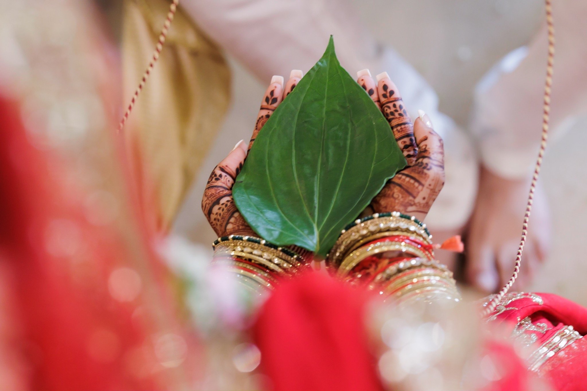 Hindu_Wedding_0626_IMG_5608.jpg