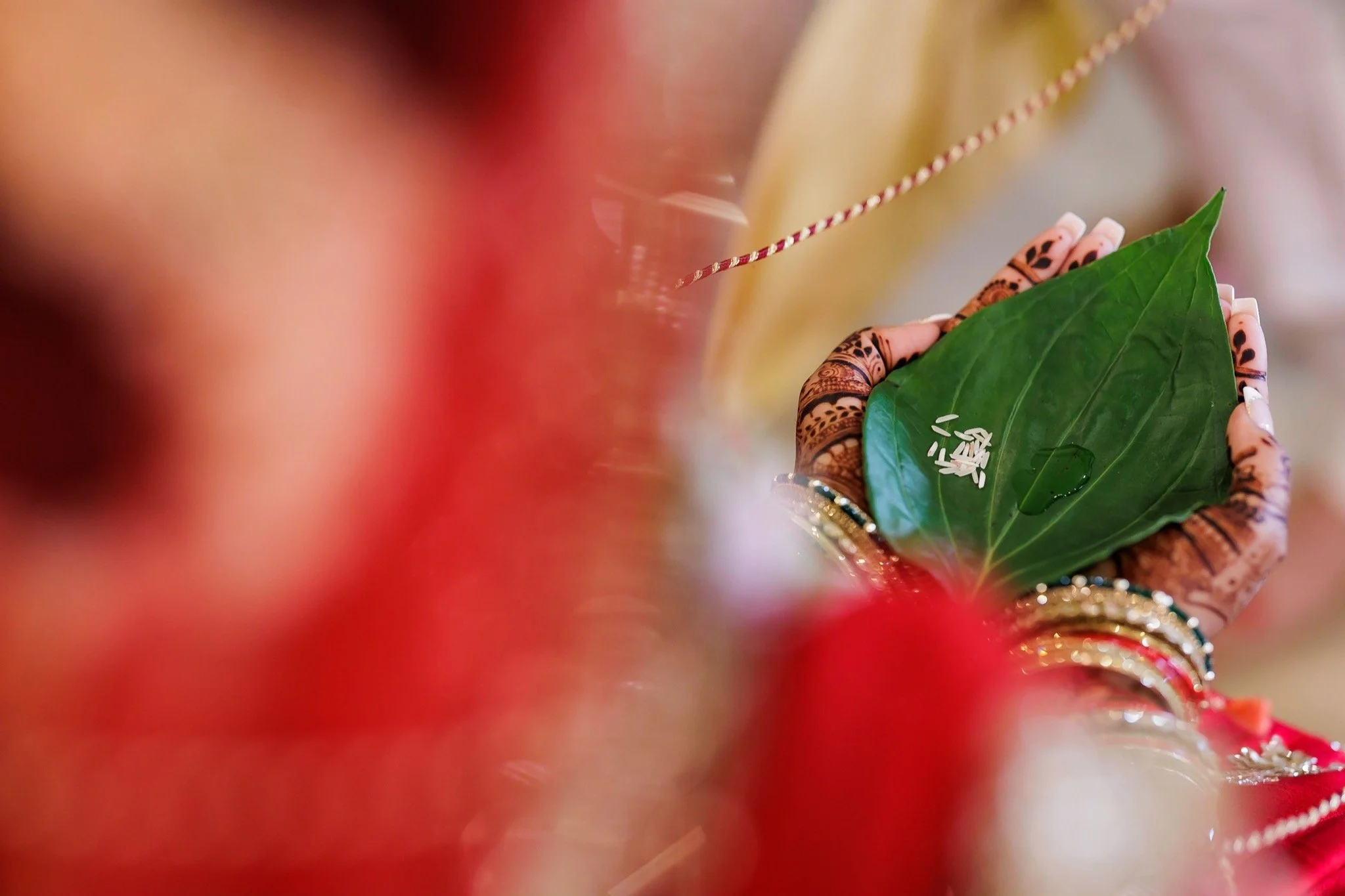 Hindu_Wedding_0636_IMG_5623.jpg