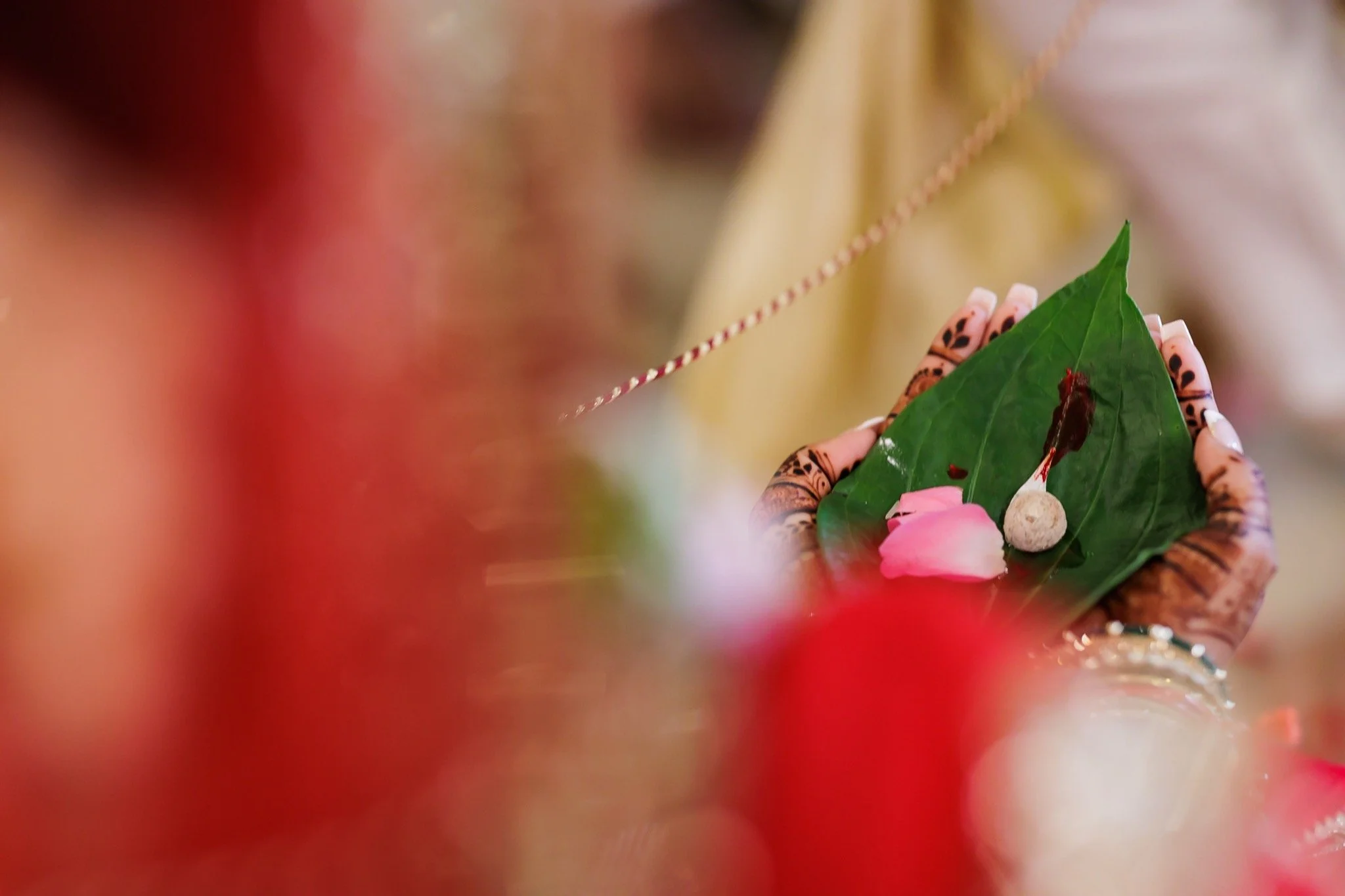 Hindu_Wedding_0645_IMG_5635.jpg