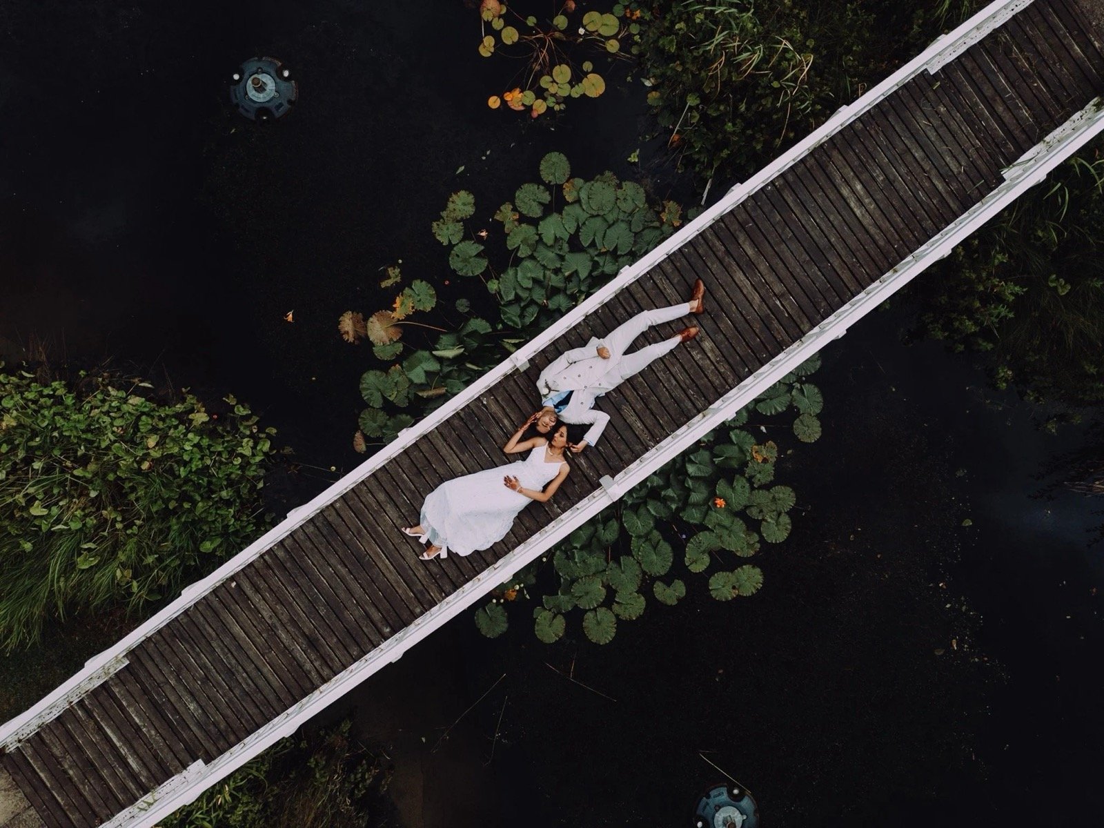 An aerial view of a bride and groom lying on a wooden bridge over water with lily pads and plants around.