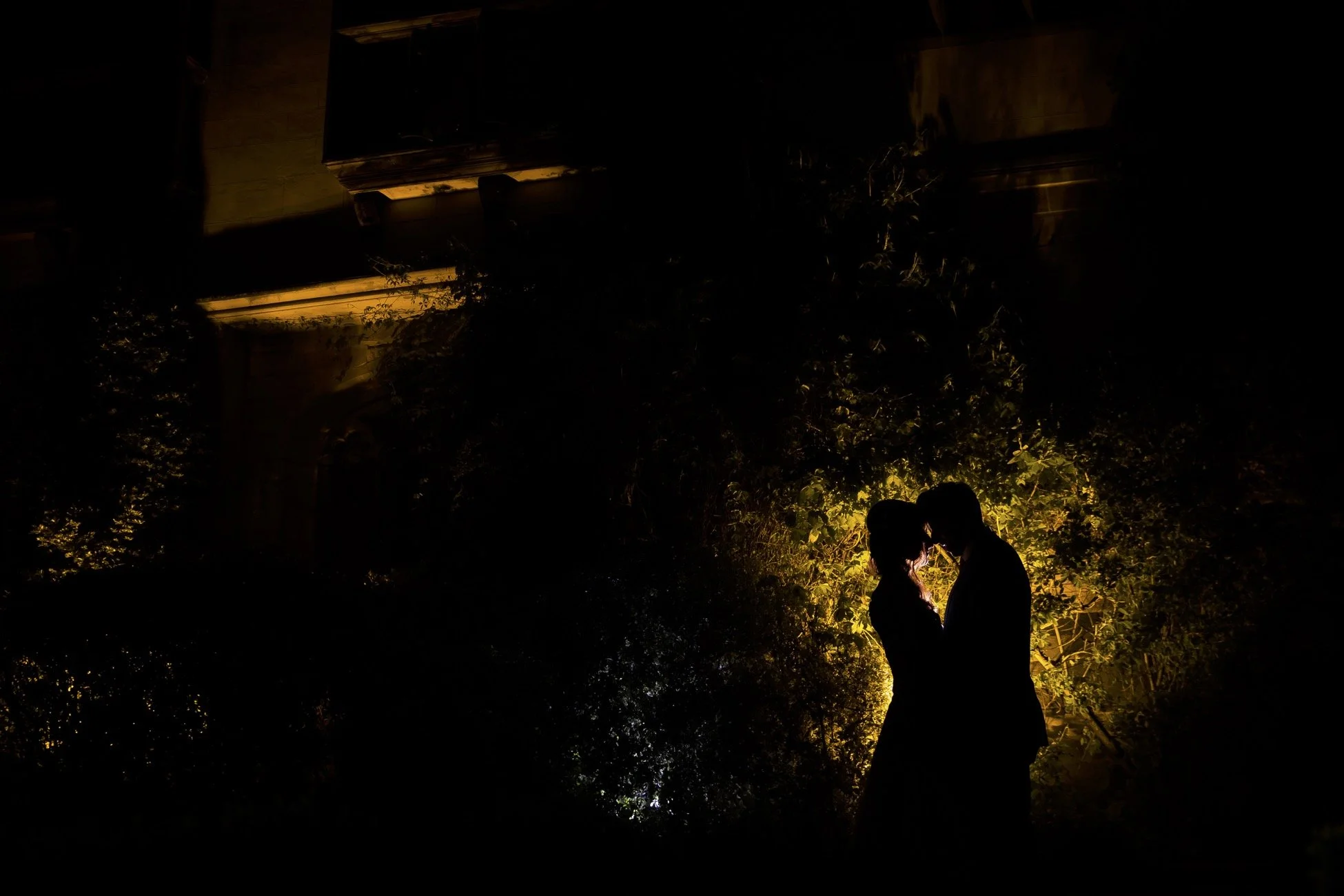 Silhouettes of a couple kissing amid trees and warm lighting at night.