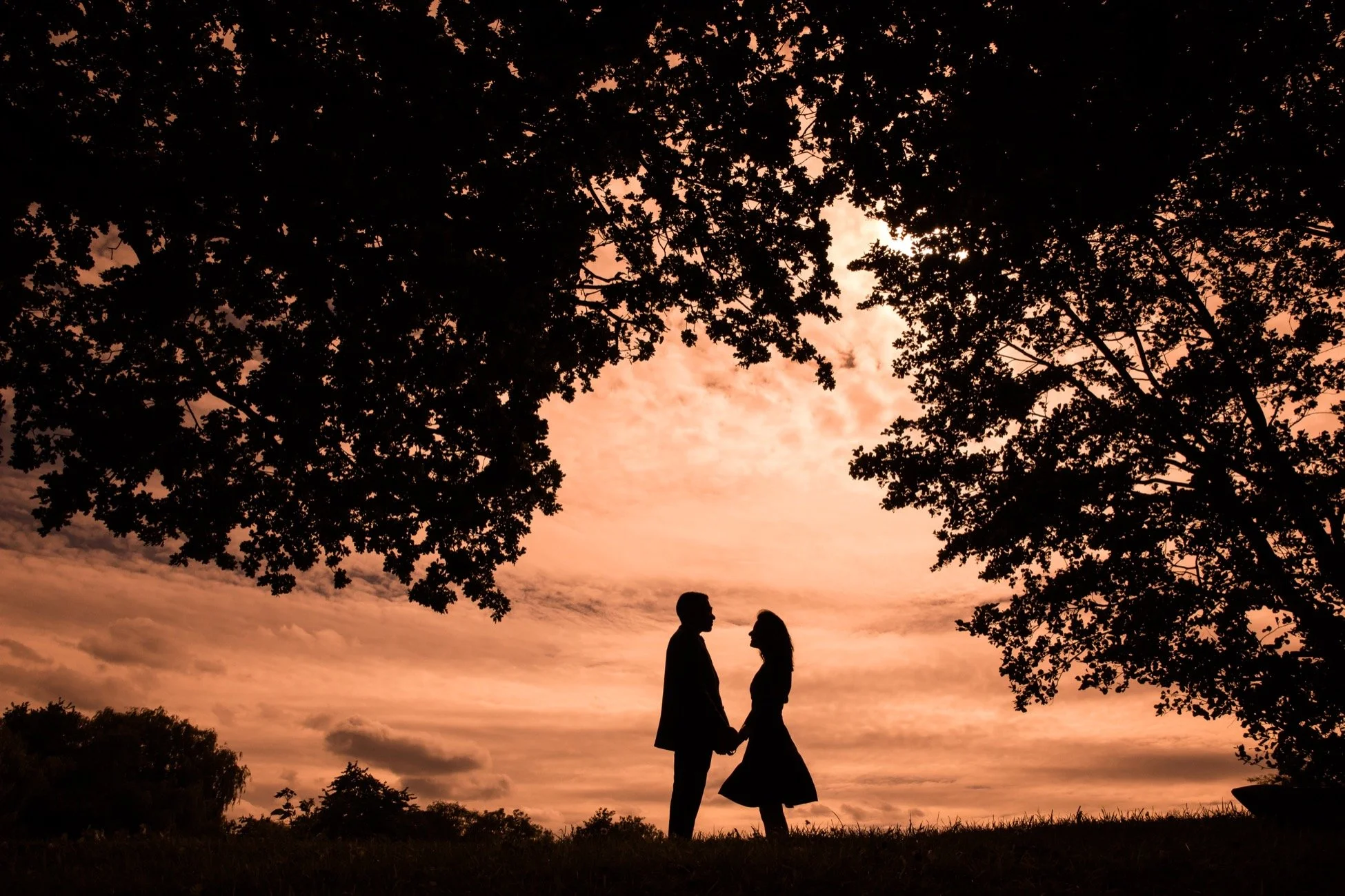 A silhouette of a couple holding hands under a large tree during sunset with pink and orange sky and clouds.