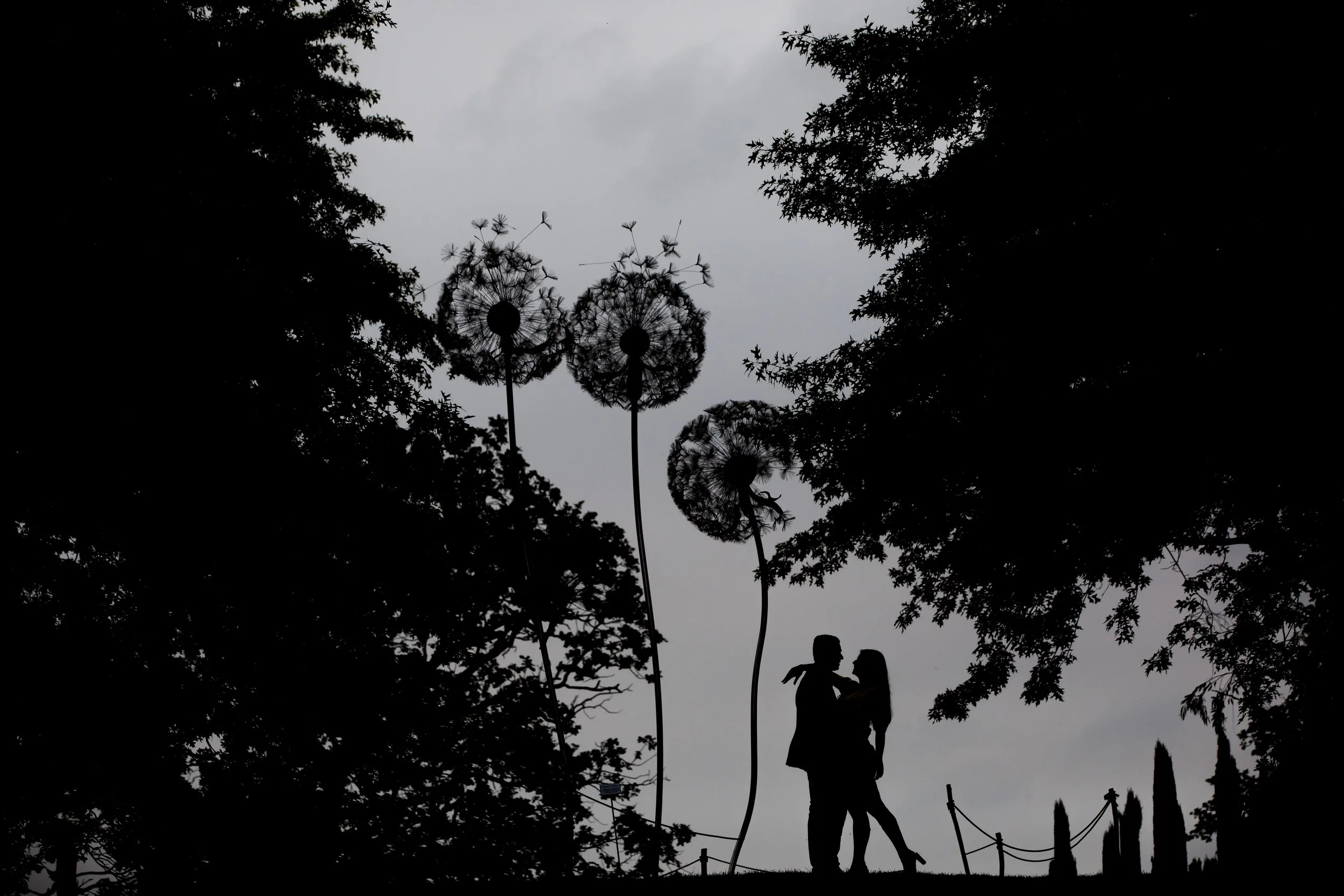 Silhouette of a person walking on a path among trees and dandelions, with a cloudy sky in the background.