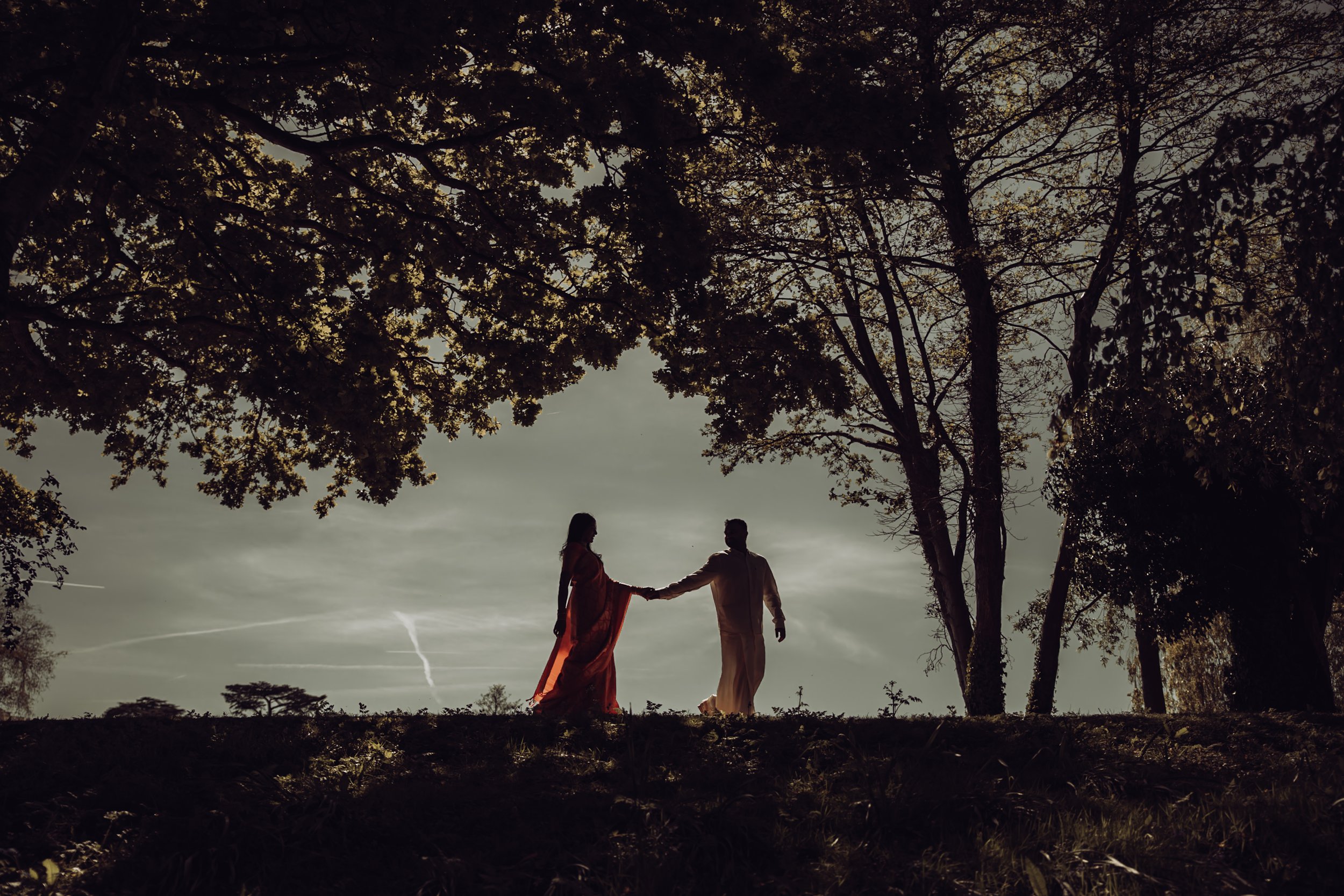 Silhouette of a couple holding hands under large trees with a cloudy sky in the background.